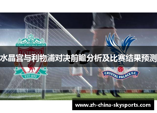 水晶宫与利物浦对决前瞻分析及比赛结果预测